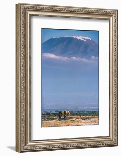 Kilimanjaro and the Quiet Sentinels-Jeffrey C. Sink-Framed Photographic Print