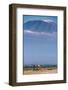 Kilimanjaro and the Quiet Sentinels-Jeffrey C. Sink-Framed Photographic Print