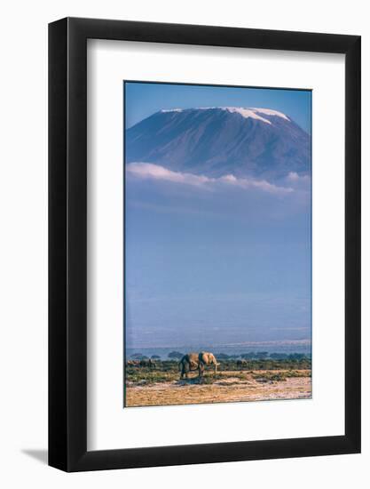 Kilimanjaro and the Quiet Sentinels-Jeffrey C. Sink-Framed Photographic Print