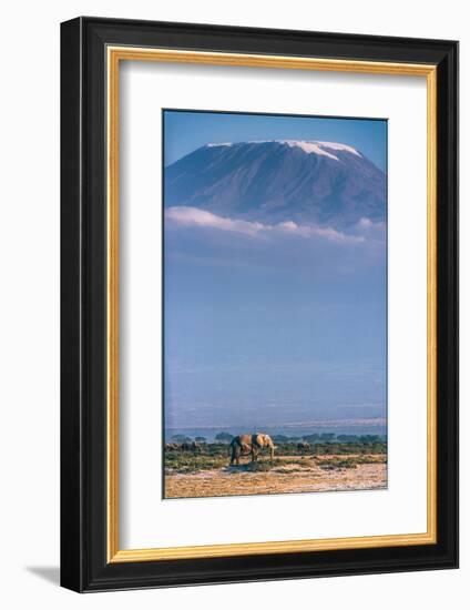 Kilimanjaro and the Quiet Sentinels-Jeffrey C. Sink-Framed Photographic Print