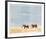 Kilimanjaro Elephants-Joseph Vance-Framed Collectable Print