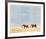 Kilimanjaro Elephants-Joseph Vance-Framed Collectable Print