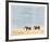 Kilimanjaro Elephants-Joseph Vance-Framed Collectable Print