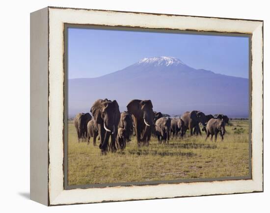 Kilimanjaro Elephants-Charles Bowman-Framed Premier Image Canvas