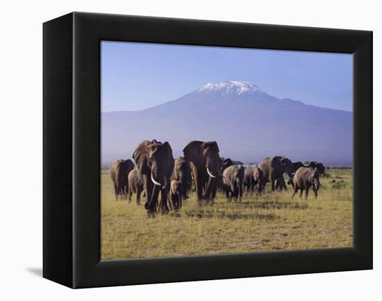 Kilimanjaro Elephants-Charles Bowman-Framed Premier Image Canvas