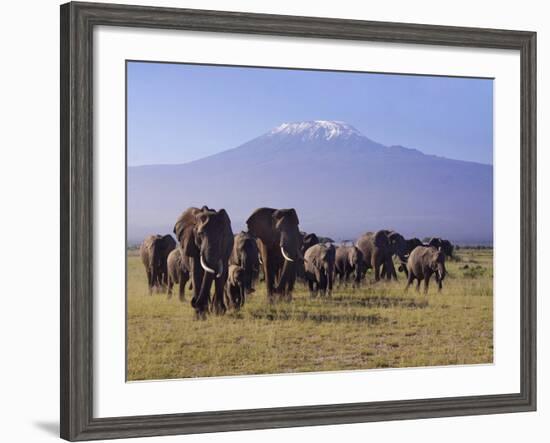 Kilimanjaro Elephants-Charles Bowman-Framed Photographic Print