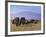 Kilimanjaro Elephants-Charles Bowman-Framed Photographic Print