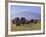 Kilimanjaro Elephants-Charles Bowman-Framed Photographic Print