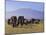 Kilimanjaro Elephants-Charles Bowman-Mounted Photographic Print