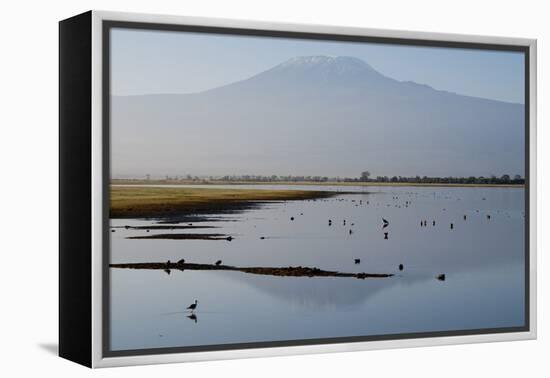 Kilimanjaro III-Charles Bowman-Framed Premier Image Canvas