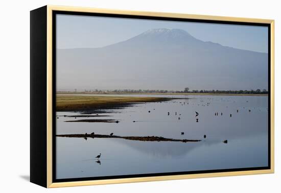 Kilimanjaro III-Charles Bowman-Framed Premier Image Canvas