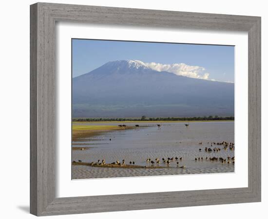 Kilimanjaro Ostriches-Charles Bowman-Framed Photographic Print