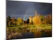Photographic Print