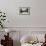 Killarney House, Killarney-null-Framed Photographic Print displayed on a wall