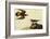 Killdeer-John James Audubon-Framed Art Print