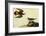 Killdeer-John James Audubon-Framed Art Print