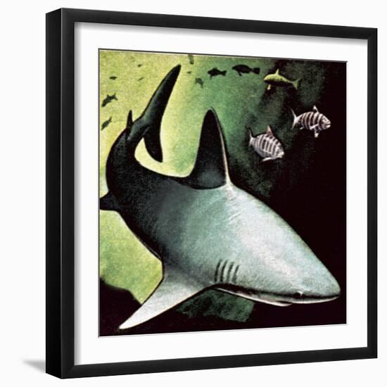 Killer Shark-English School-Framed Giclee Print