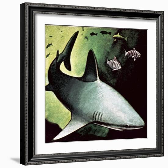 Killer Shark-English School-Framed Giclee Print