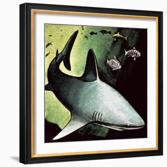 Killer Shark-English School-Framed Giclee Print