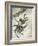 Killer Ski Jump 1934-Vittorio Pisani-Framed Art Print