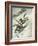 Killer Ski Jump 1934-Vittorio Pisani-Framed Art Print