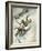 Killer Ski Jump 1934-Vittorio Pisani-Framed Art Print