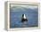 Killer Whale Spy Hopping with Calf in an Arctic Fjord, Norway, Scandinavia, Europe-Dominic Harcourt-webster-Framed Premier Image Canvas