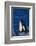 Killer Whale Spyhopping-DLILLC-Framed Photographic Print