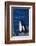 Killer Whale Spyhopping-DLILLC-Framed Photographic Print