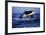 Killer Whale-null-Framed Photographic Print