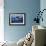 Killer Whale-null-Framed Photographic Print displayed on a wall