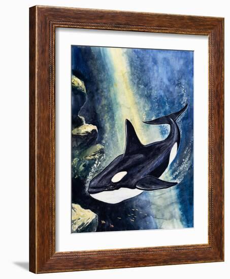 Killer Whale-G. W Backhouse-Framed Giclee Print