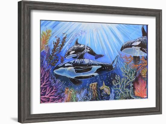 Killer Whales-Martin Nasim-Framed Giclee Print