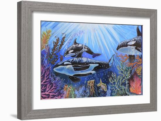 Killer Whales-Martin Nasim-Framed Giclee Print