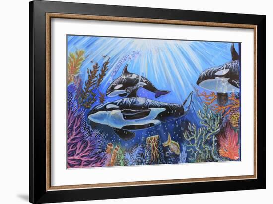 Killer Whales-Martin Nasim-Framed Giclee Print