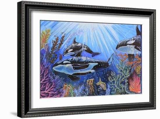 Killer Whales-Martin Nasim-Framed Giclee Print
