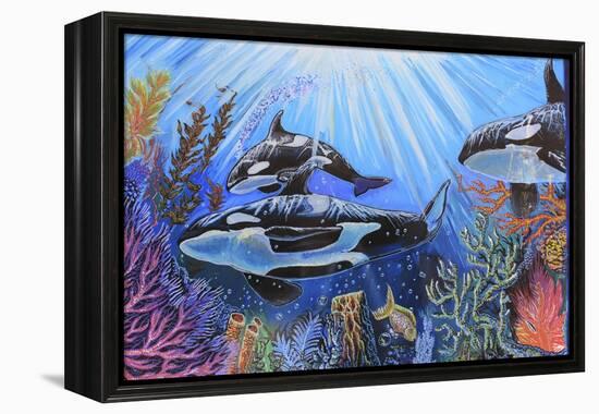 Killer Whales-Martin Nasim-Framed Premier Image Canvas