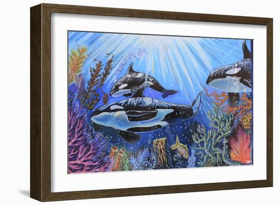 Killer Whales-Martin Nasim-Framed Premium Giclee Print