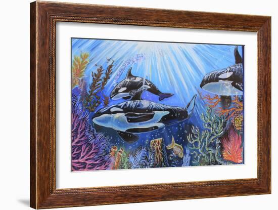 Killer Whales-Martin Nasim-Framed Premium Giclee Print