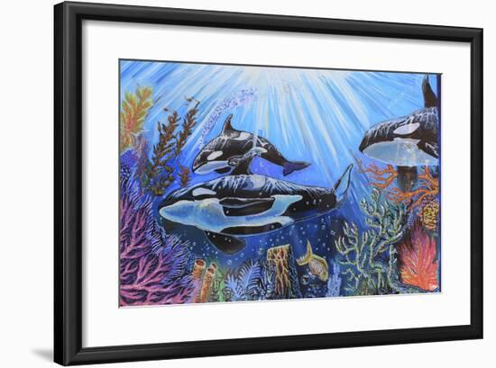 Killer Whales-Martin Nasim-Framed Giclee Print