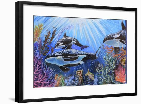 Killer Whales-Martin Nasim-Framed Giclee Print