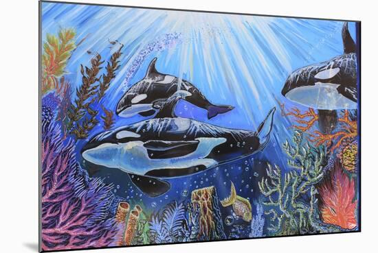 Killer Whales-Martin Nasim-Mounted Giclee Print