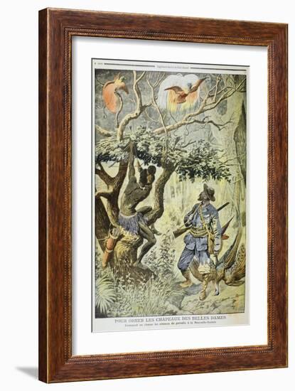 Killing Birds of Paradise, New Guinea, 1908-null-Framed Giclee Print