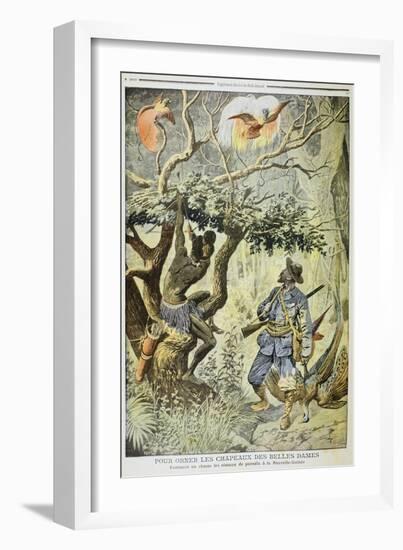 Killing Birds of Paradise, New Guinea, 1908-null-Framed Giclee Print