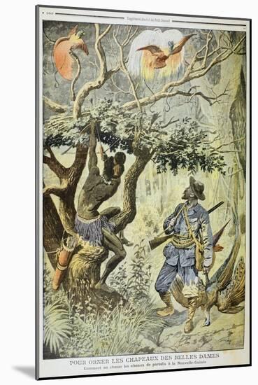 Killing Birds of Paradise, New Guinea, 1908-null-Mounted Giclee Print