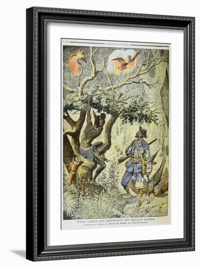 Killing Birds of Paradise, New Guinea, 1908-null-Framed Giclee Print