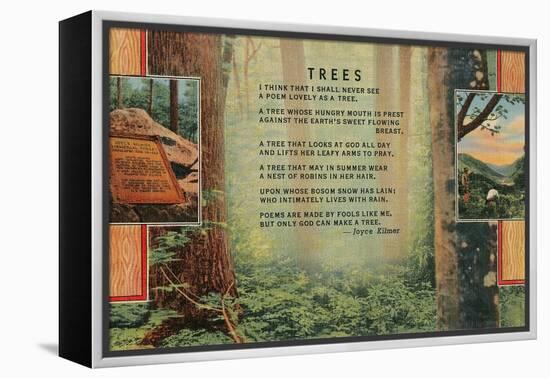 Kilmer Tree Poem, Forest-null-Framed Stretched Canvas