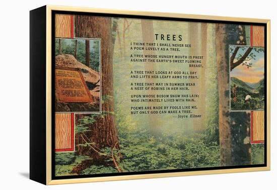 Kilmer Tree Poem, Forest-null-Framed Stretched Canvas