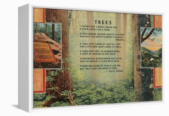 Kilmer Tree Poem, Forest-null-Framed Stretched Canvas