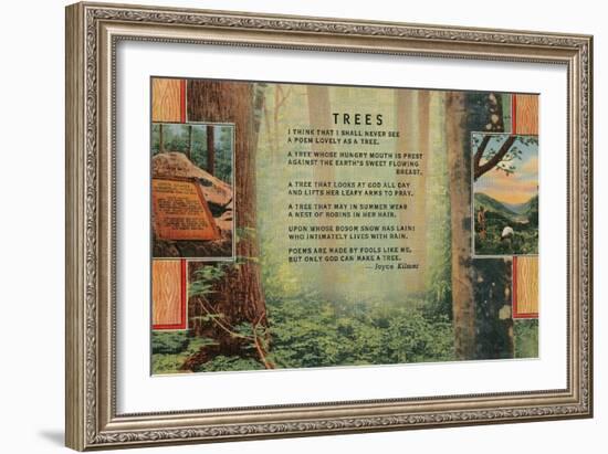 Kilmer Tree Poem, Forest-null-Framed Art Print